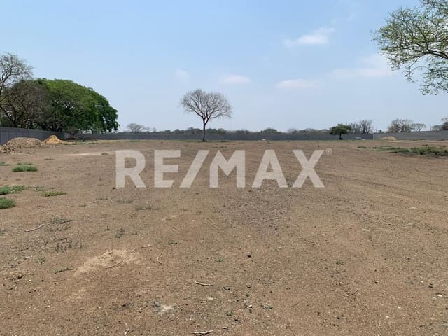 Terreno en Renta Ejido Ricardo Flores Magon