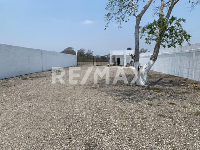 Terreno en Renta Ejido Ricardo Flores Magon