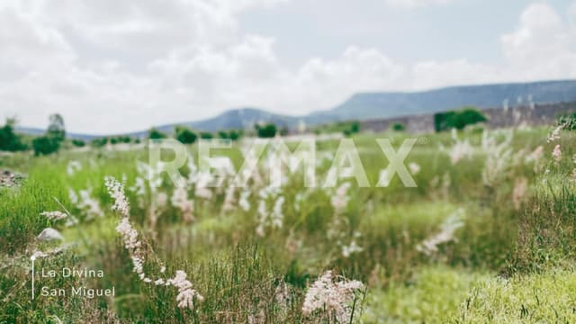 Casas de Campo Rancho Olivo La Divina San Miguel De Allende RCV230527-AF