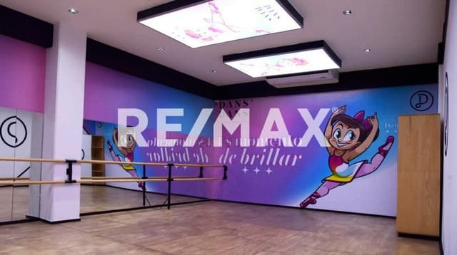 EDIFICIO COMERCIAL EN RENTA