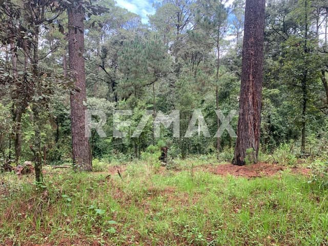 Terreno Venta Avándaro, Valle de Bravo