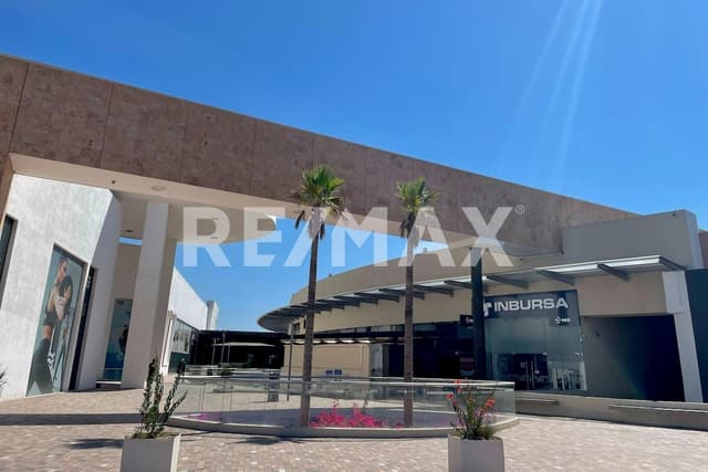 Oficina - Comercial en Renta - 5