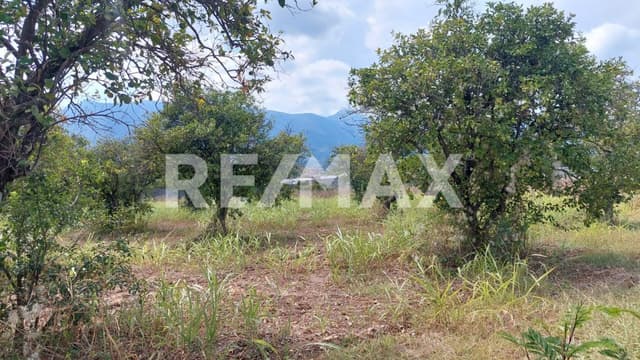 Venta terreno Residencial 6,000m2 en Allende Nuevo León, México.