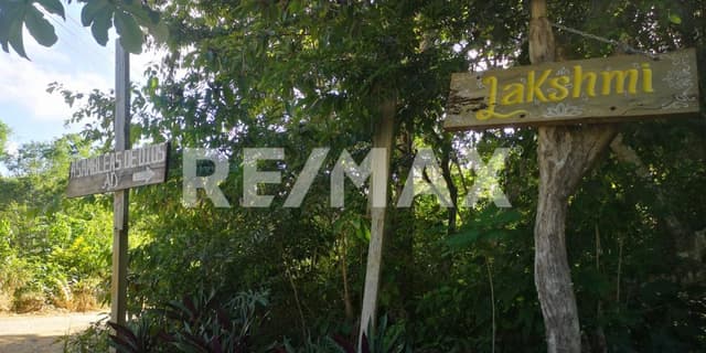 TERRENO TITULADO EN VENTA, CAMINO BLANCO, FRANCISCO UH MAY, TULUM.