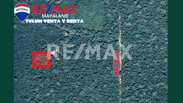 Oportunidad hectárea en Francisco Uh May