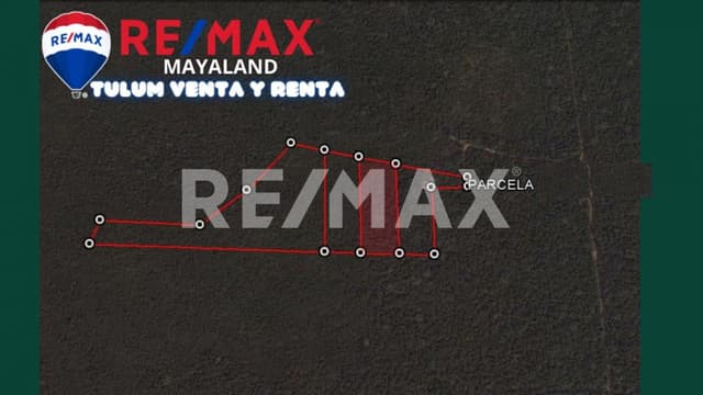 Oportunidad hectárea en Francisco Uh May