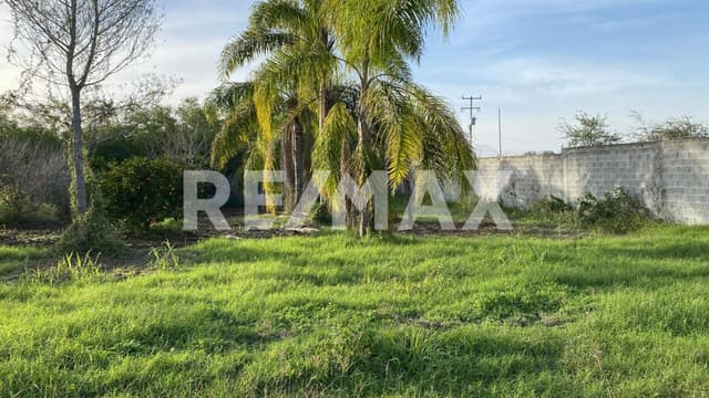 Venta terreno 10,041.50m2 en La Morita, Montemorelos Nuevo León, México.