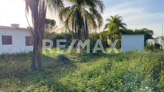 Venta terreno 10,041.50m2 en La Morita, Montemorelos Nuevo León, México.