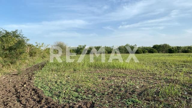 Venta terreno 10,000m2 en La Morita, Montemorelos Nuevo León, México.