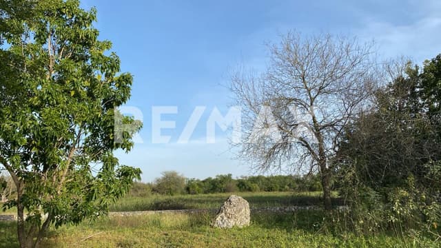 Venta terreno 10,000m2 en La Morita, Montemorelos Nuevo León, México.