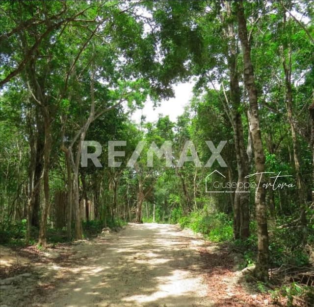 VENTA Excelente inversión CHEMUYIL Tulum