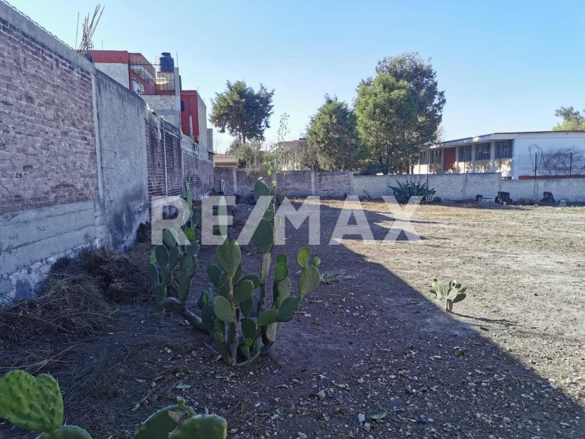 Fotos adicionales
