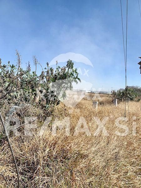 ITR TERRENO INDUSTRIAL EN RENTA, LA NORIA, EL MARQUES