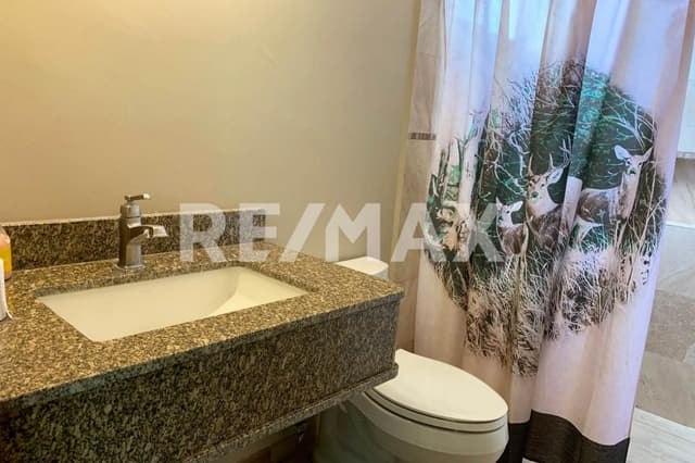 Oficina - Comercial en Renta - 5