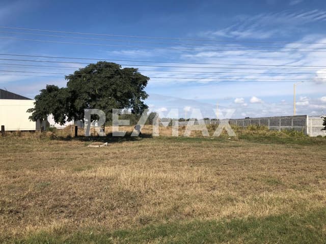 Terreno plano en renta sobre Av del Puerto Industrial.