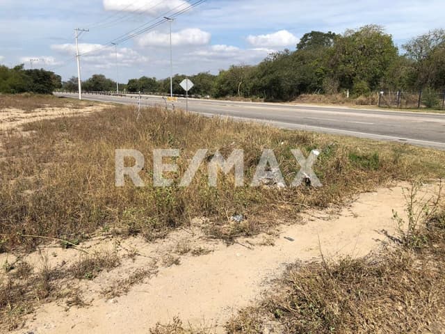 Terreno en renta sobre el Corredor Urbano Luis Donaldo Colosio.