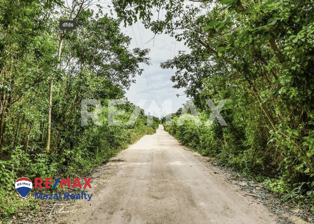 Terreno en la selva Akumal- con cenote