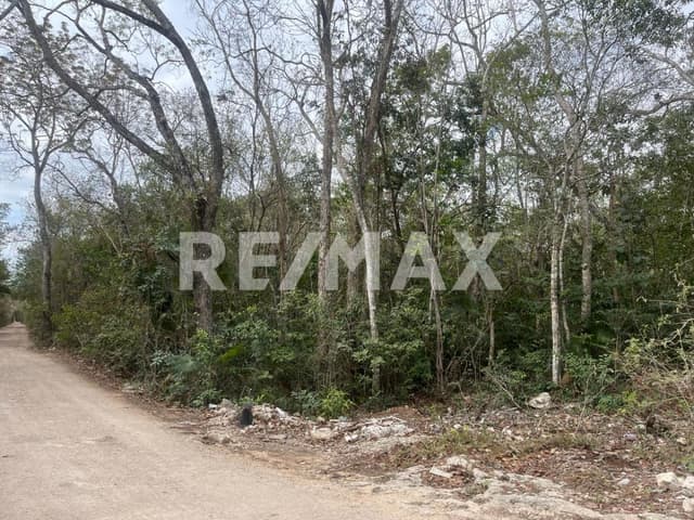 VENTA TERRENO TULUM EN REGION 8 - CERCA DE LA 5TA