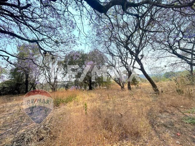 Terreno en Santa María Ahuacatitlán, Cuernavaca, Morelos...Clave 4886