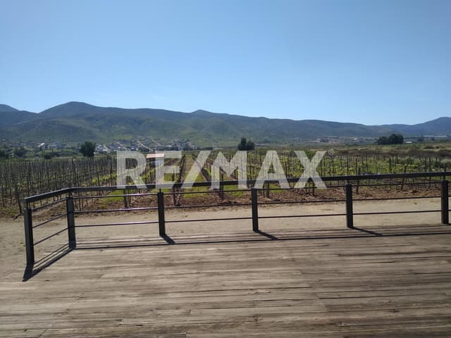 Restaurante en Renta en Valle de Guadalupe
