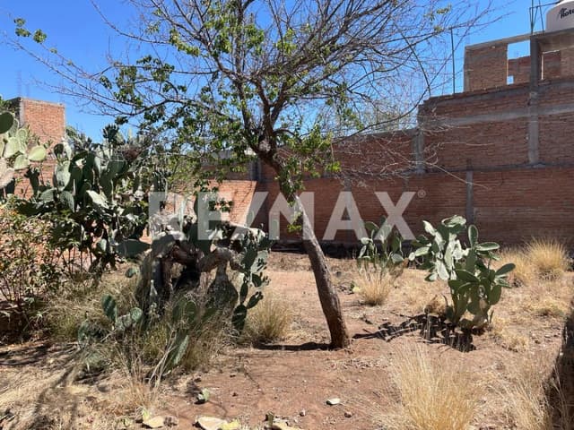 Casa de una Planta en Venta con terreno excedente Colonia Lopez Portillo