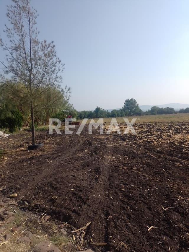 TERRENO EN VENTA