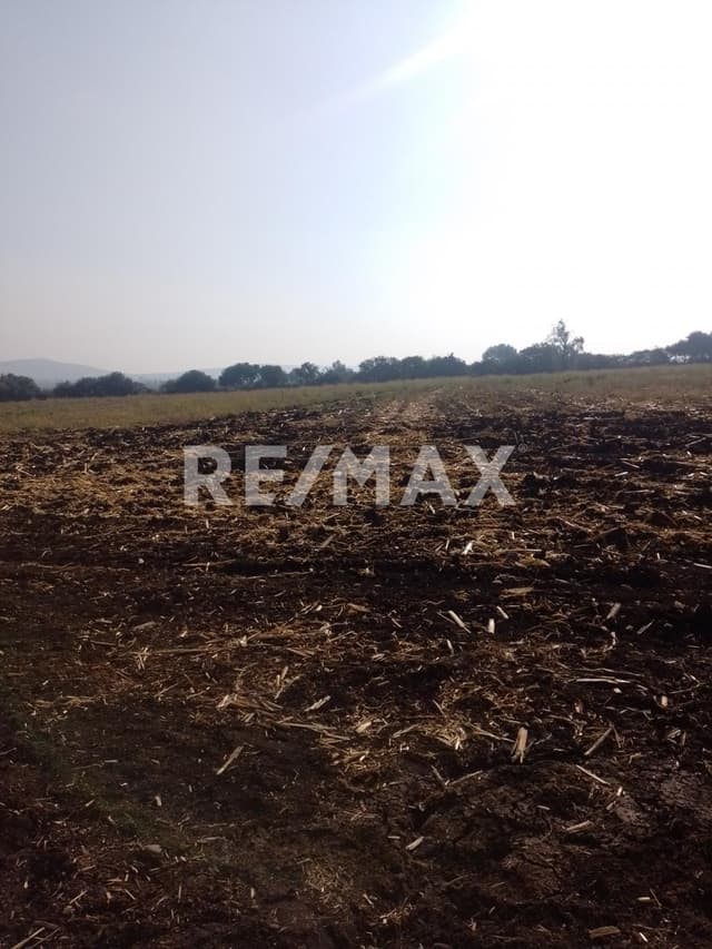 TERRENO EN VENTA