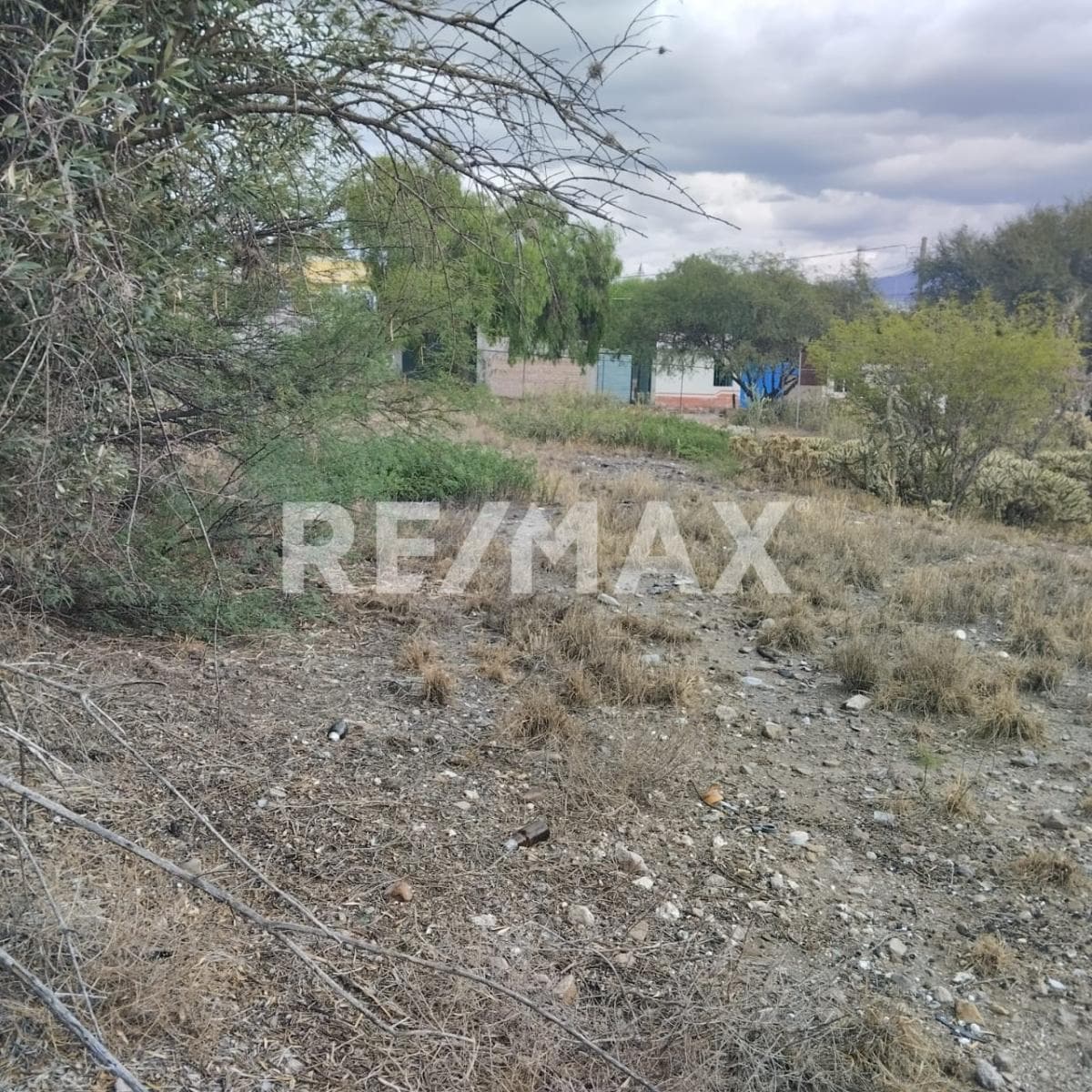 Fotos adicionales