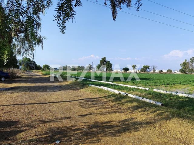 TERRENO EN VENTA 3.85 HECTAREAS