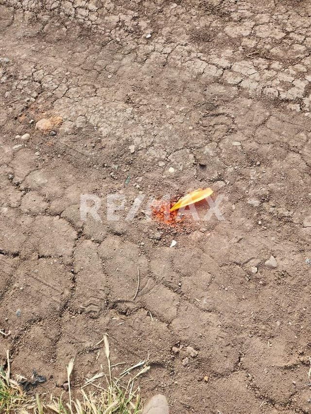 ¡Atención inversores y desarrolladores inmobiliarios!