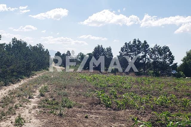 Terreno - Industrial en Venta - 5