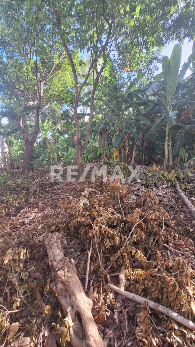 TERRENO EN VENTA O RENTA EN ANACLETO CANABAL 3RA SECCIÓN