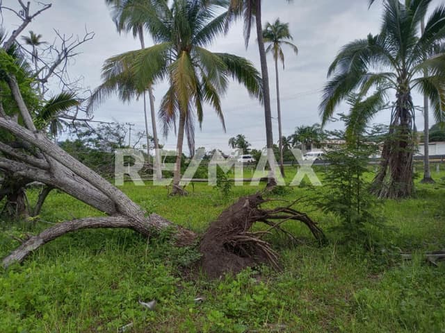 TERRENO EN VENTA
