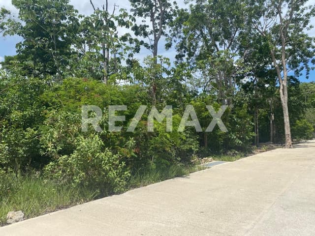 EN VENTA TERRENOS RESIDENCIALES EN TULUM