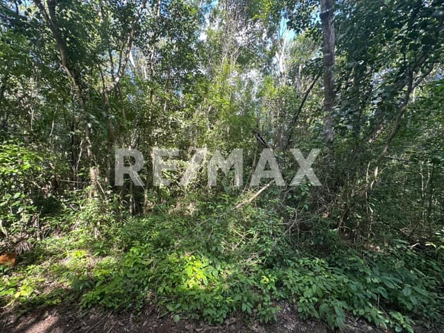 Venta de terreno en Cancun