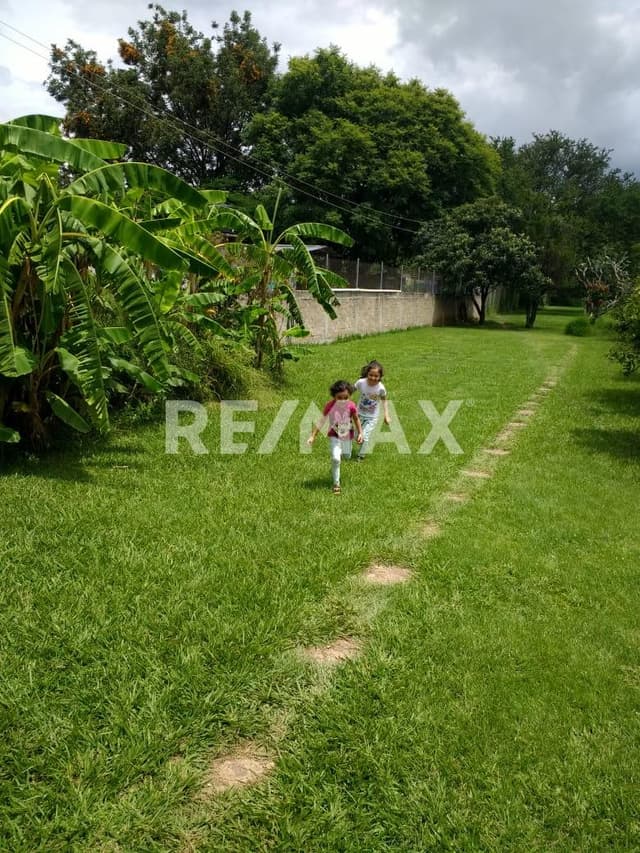 Terreno Ejidal Urbanizado en Venta en Animas Trujano