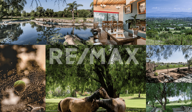 Terreno en venta en Balvanera, Corregidora, Queretaro