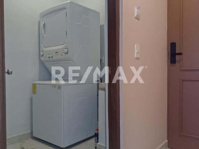 Olive Reef: El placer de vivir cerca del mar.