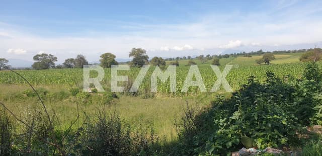 Terreno en Venta en Cuapiaxtla, Estado de Tlaxcala