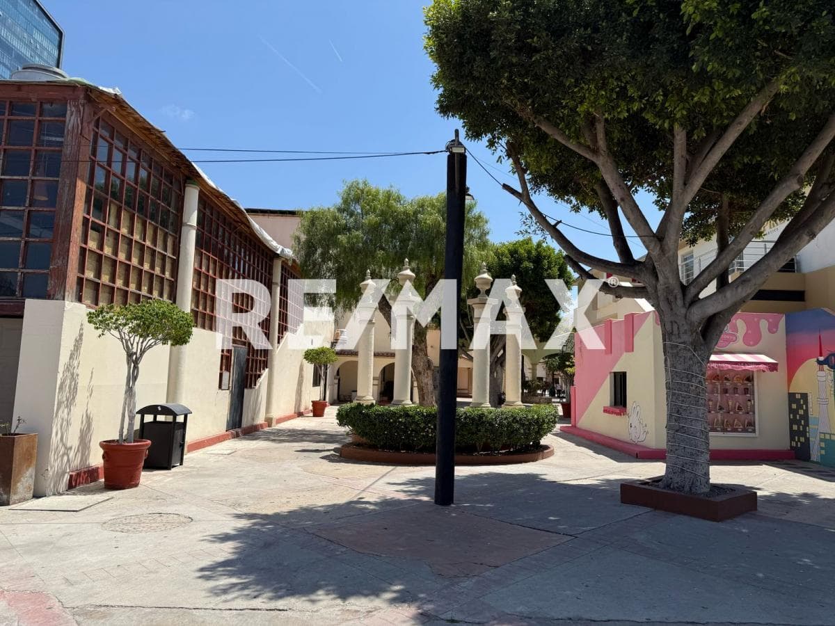 Fotos adicionales
