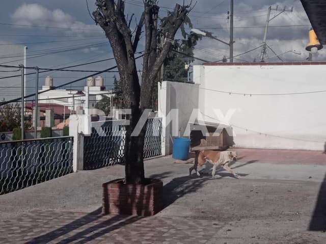 Terreno en venta, Cuajimalpa, Cerrada 8 de Av. México, CDMX.