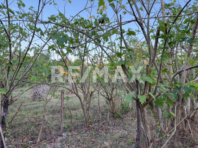 Excelente oportunidad para invertir