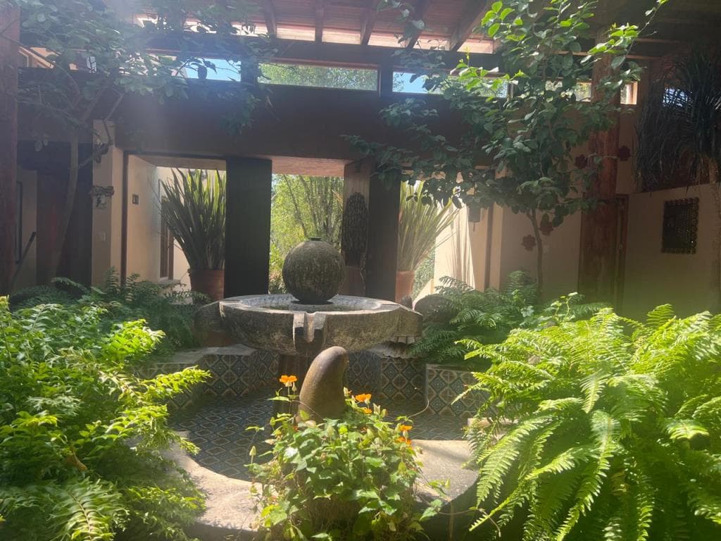 Fotos adicionales
