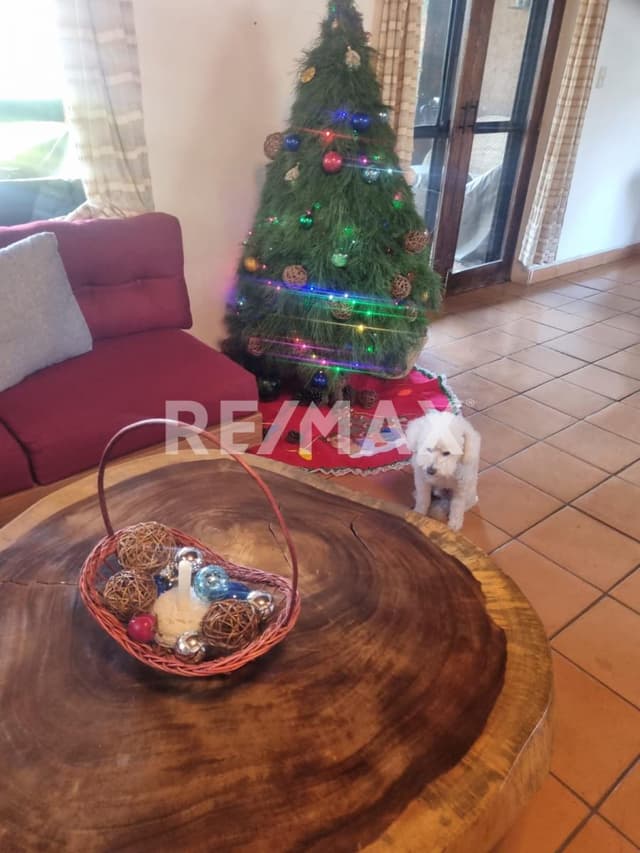 MVT Casa en renta Tetela del Monte Cuernavaca