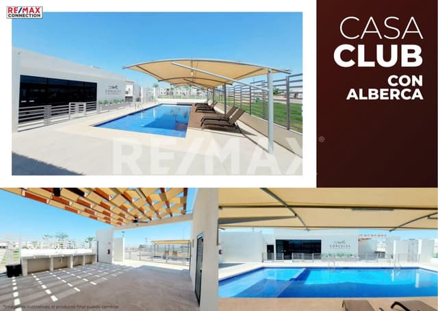 CORCELES - APPALOOSA