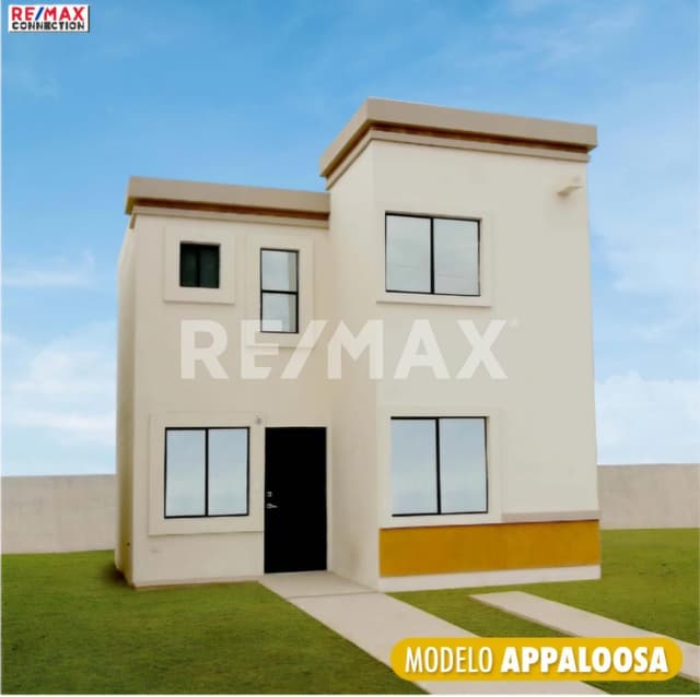 CORCELES - APPALOOSA