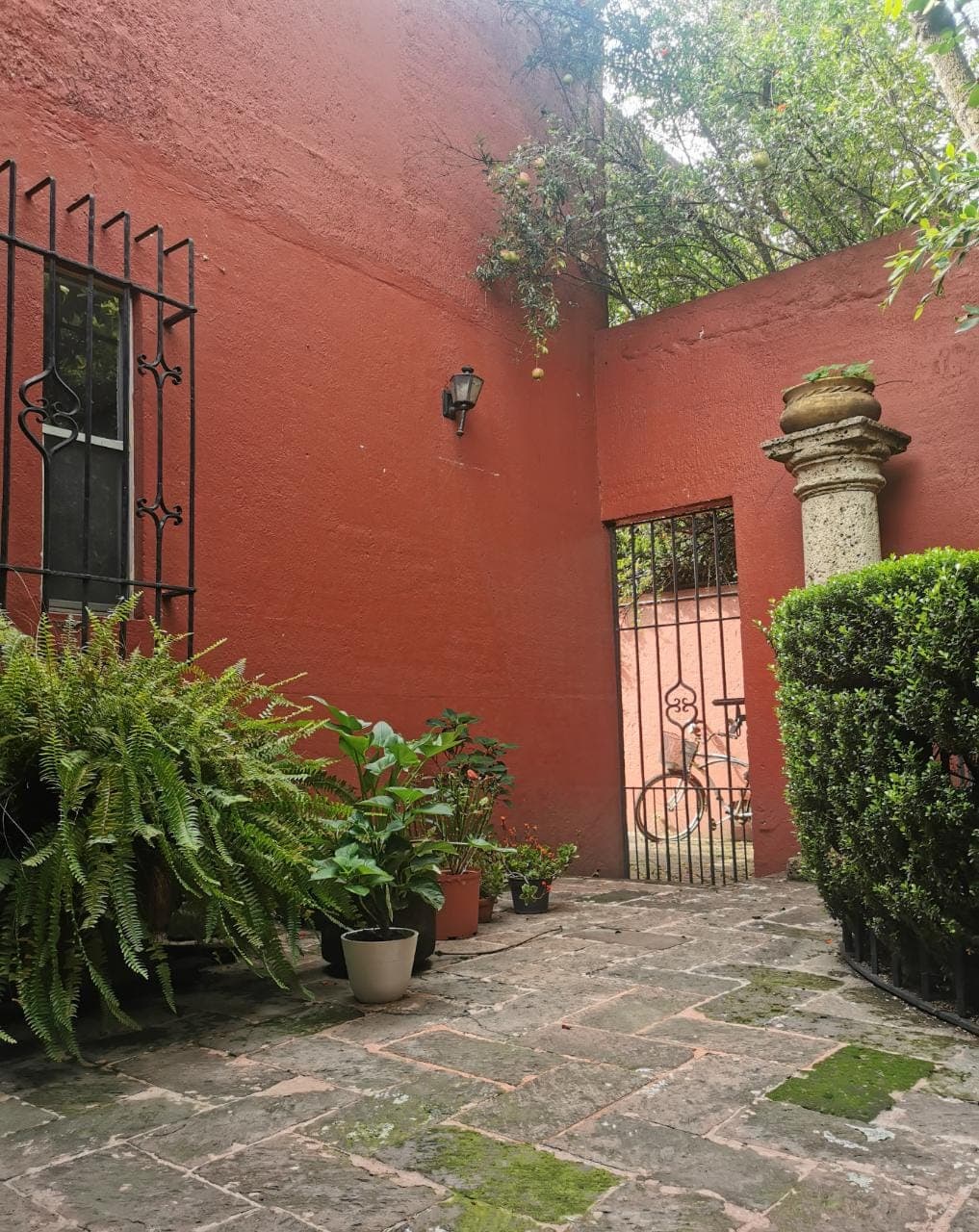 Fotos adicionales