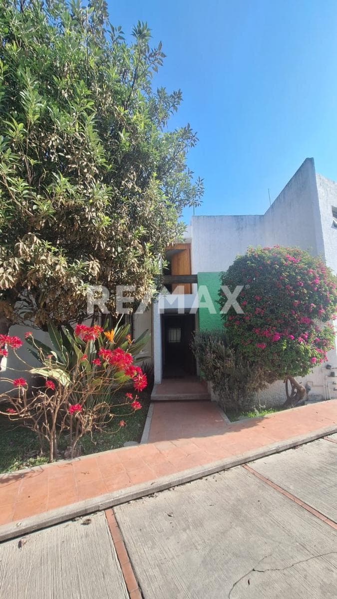 Fotos adicionales