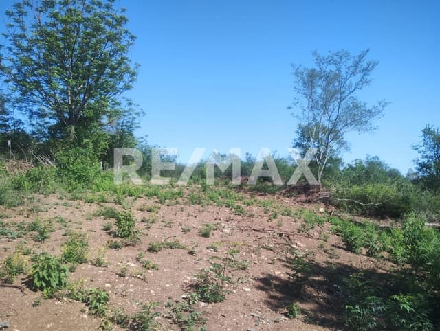 VENTA DE TERRENOS - CONGREGACION CALLES, N.L.