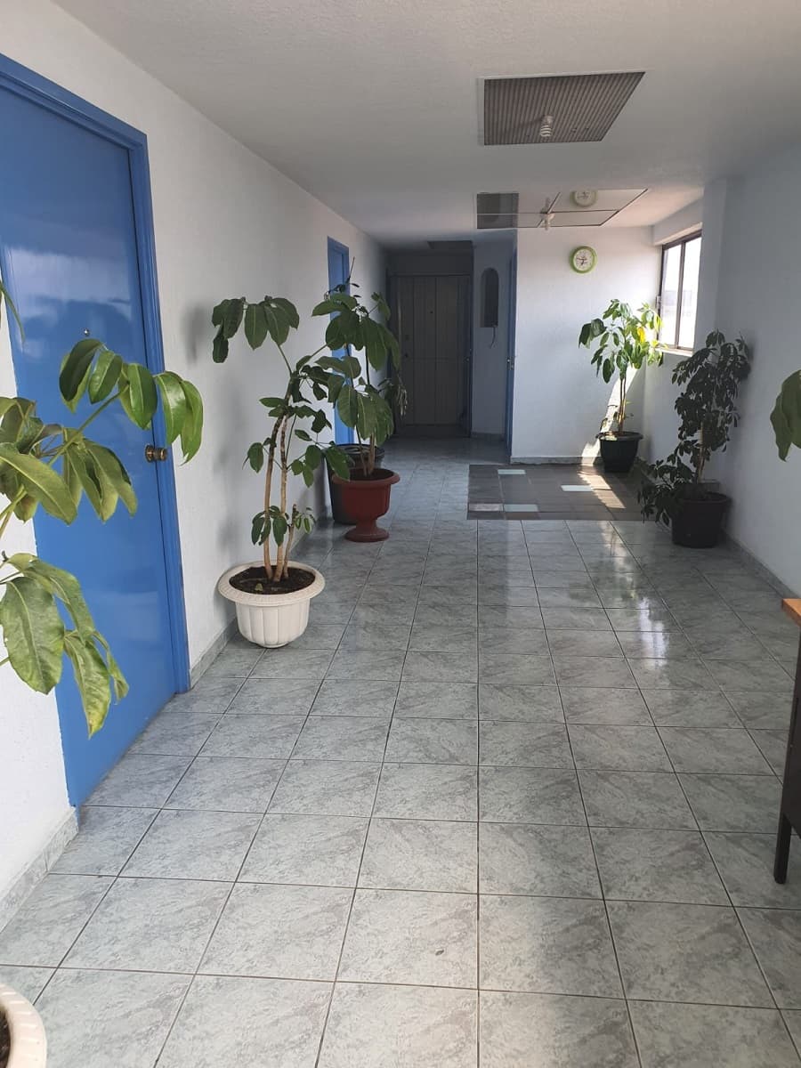 Fotos adicionales
